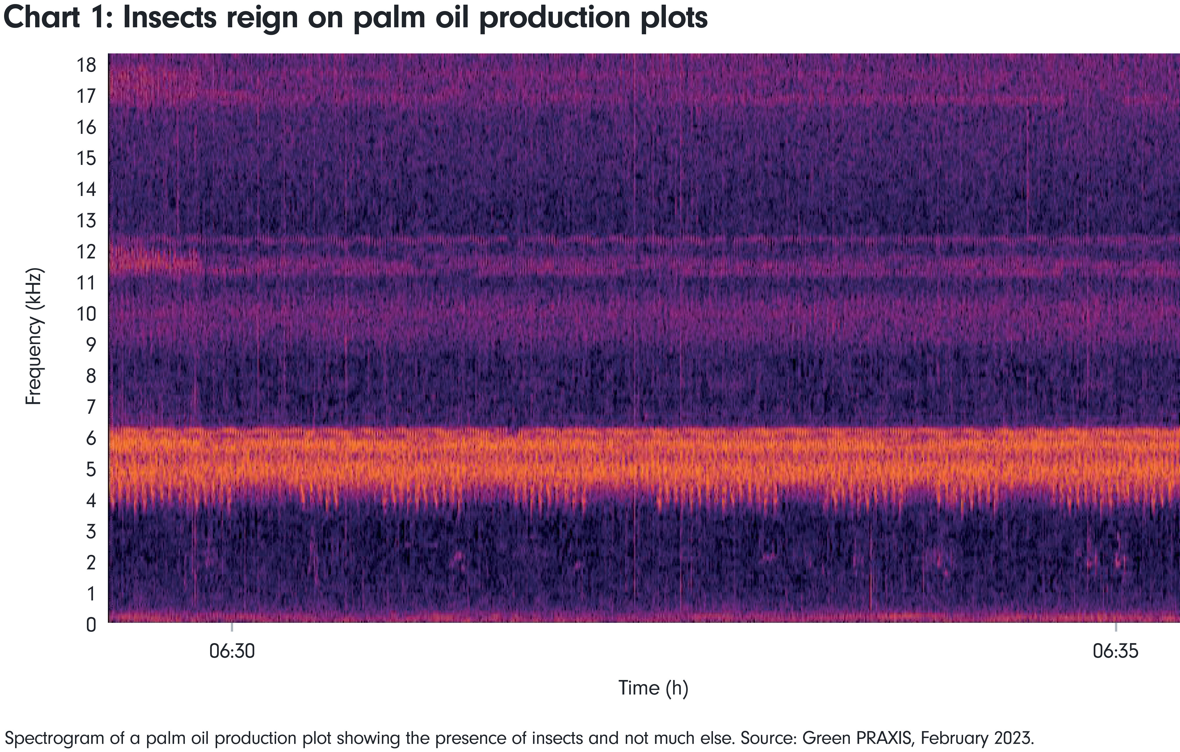 Spectrogram Bird Wild for sound: how new research is plugging biodiversity’s data ...